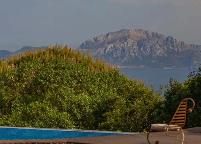 Vila Livingtarifa - Casa Helechos Tarifa